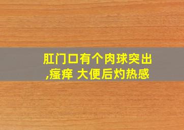 肛门口有个肉球突出,瘙痒 大便后灼热感